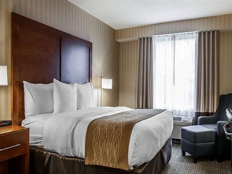 Comfort Inn & Suites Sturbridge-Brimfield ภายนอก รูปภาพ