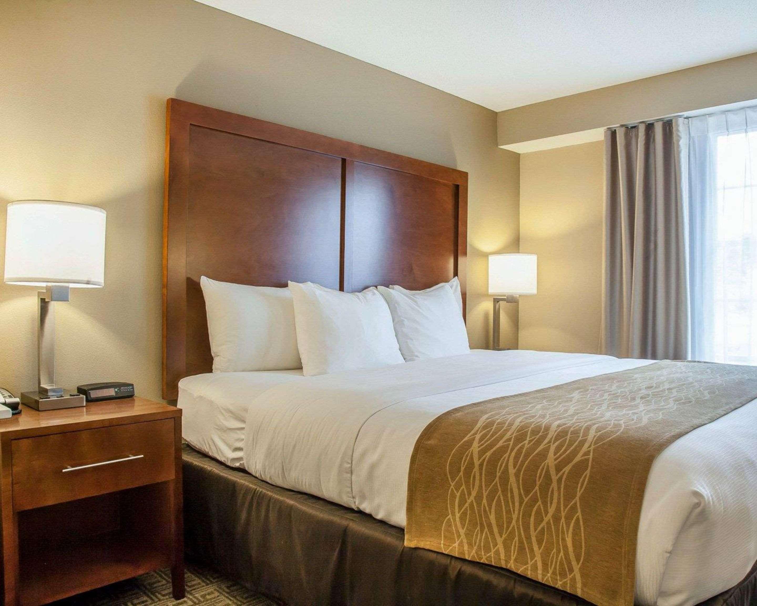 Comfort Inn & Suites Sturbridge-Brimfield ภายนอก รูปภาพ