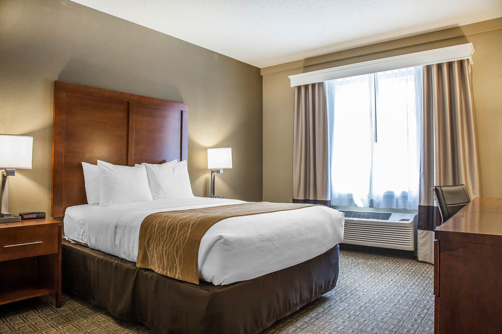 Comfort Inn & Suites Sturbridge-Brimfield ภายนอก รูปภาพ